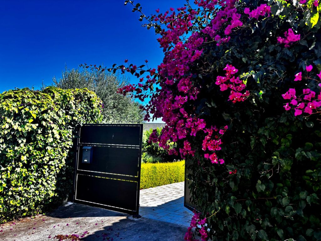 Cancello d'ingresso del Bagliodel Picchio