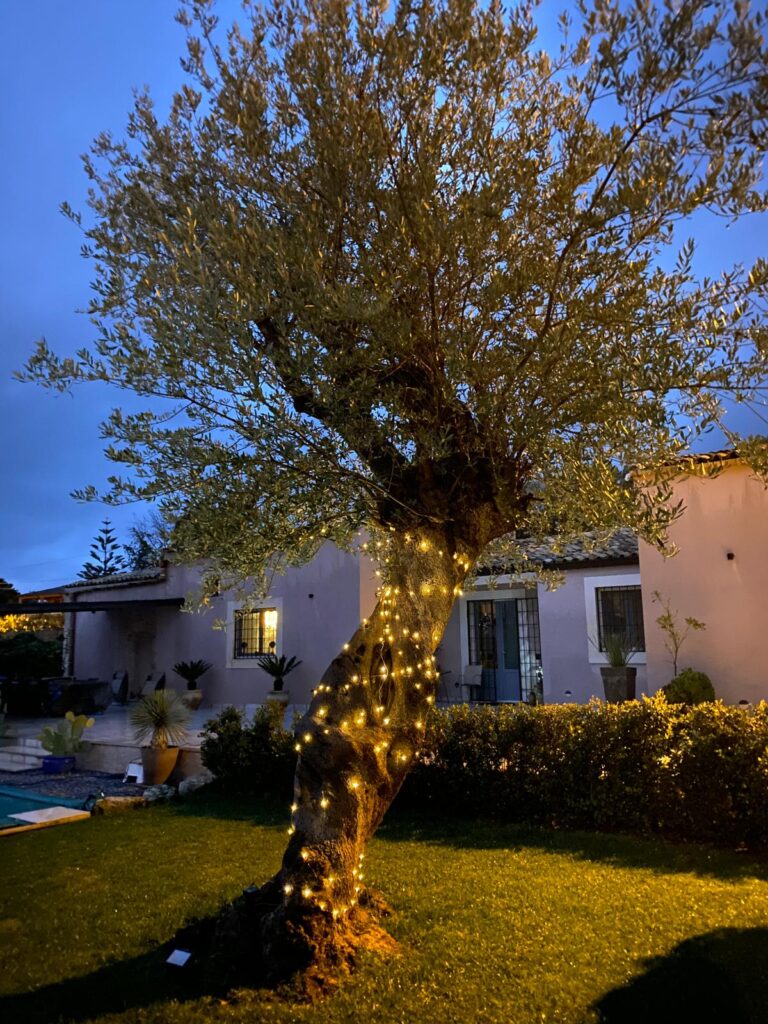 Esterno del Baglio del Picchio